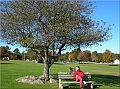 DSCN4208