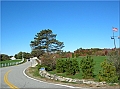 DSCN4222