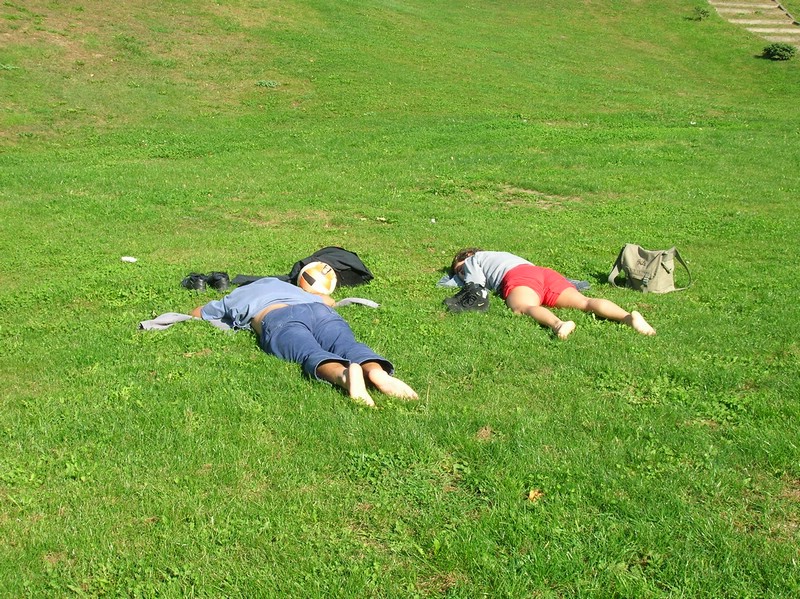 DSCN0539.JPG