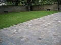 DSCN0536
