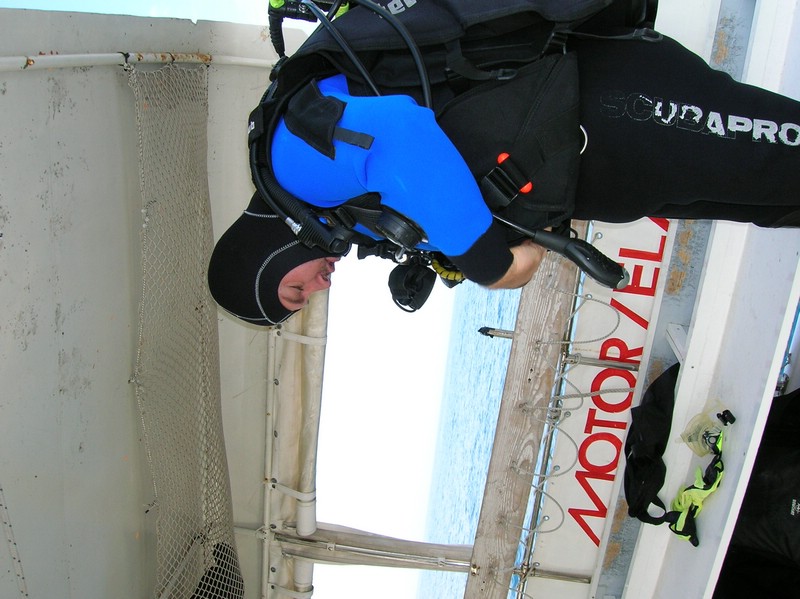 DSCN0241.JPG