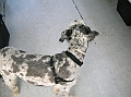 DSCN0246