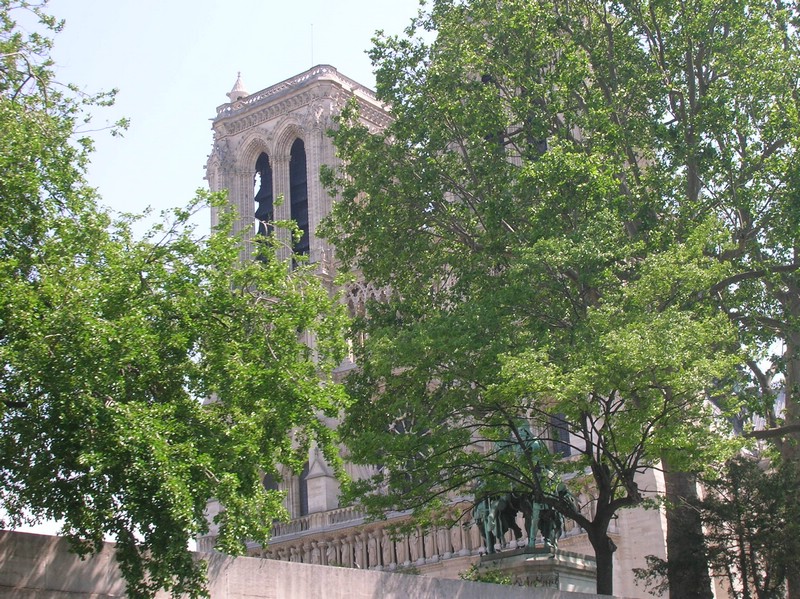 DSCN3071.JPG
