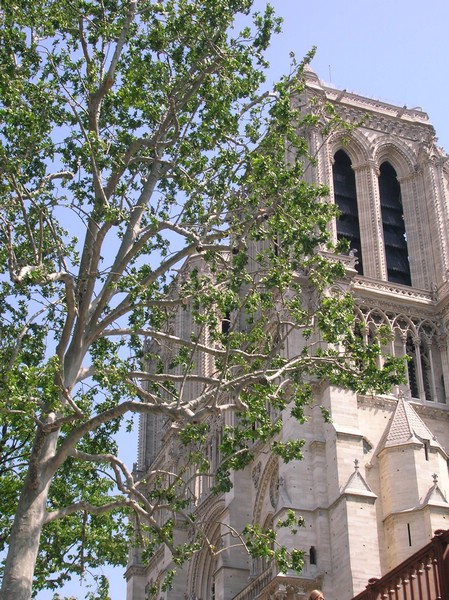 DSCN3074.JPG