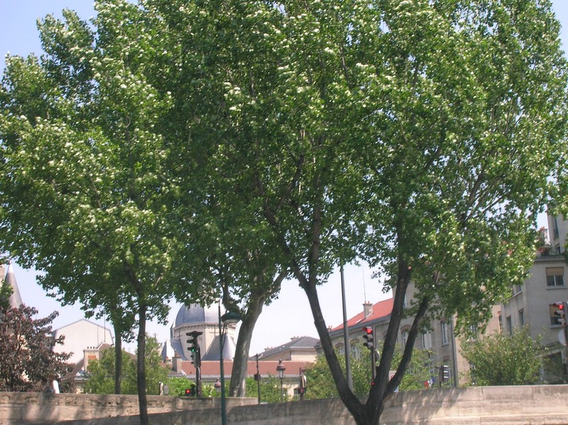 DSCN3100.JPG