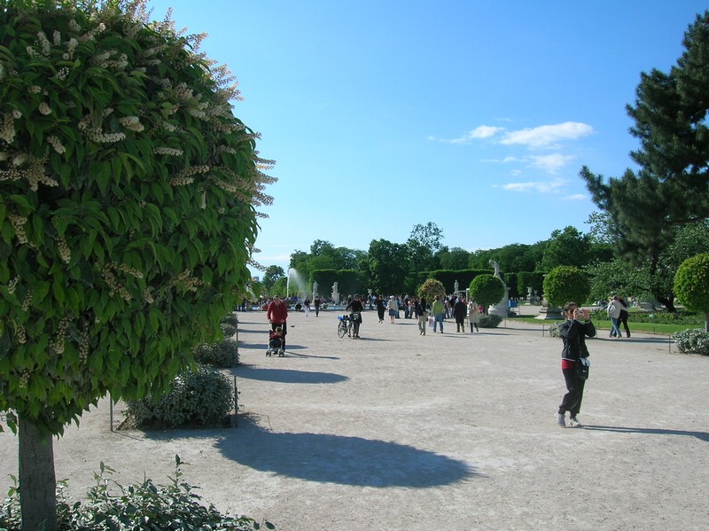 DSCN3255.JPG