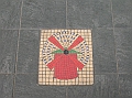 DSCN2949