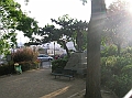 DSCN2973