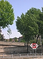 DSCN3101