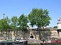 DSCN3145