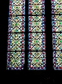 DSCN3184